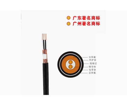 DJYPVP-300/500V控制電纜 DJYPVP-300/500V控制電纜